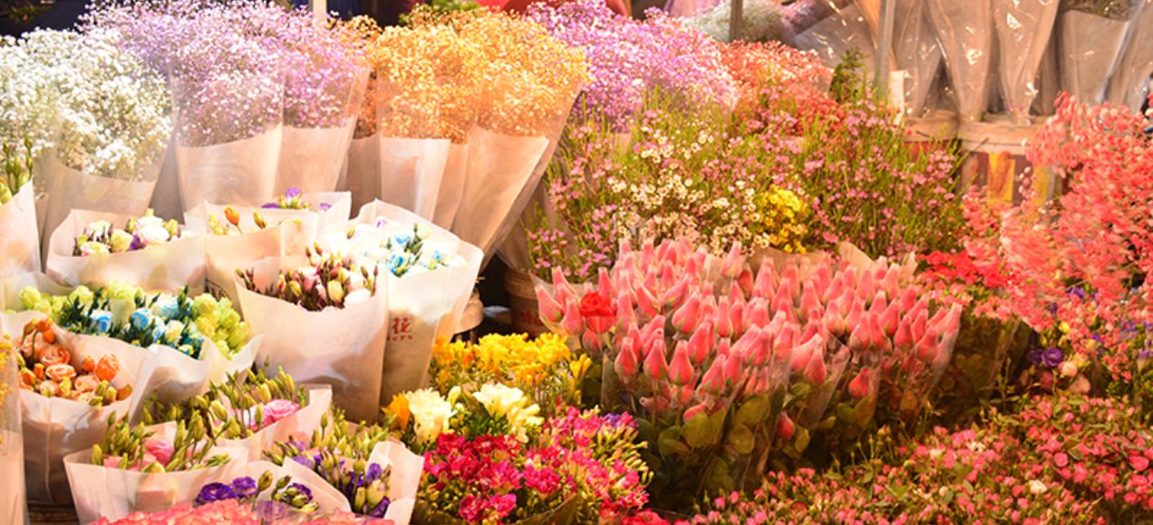 Thưởng thức nhiều loài hoa khoe sắc tại chợ hoa đêm Hồ Thị Kỷ (Ảnh: Sưu tầm)